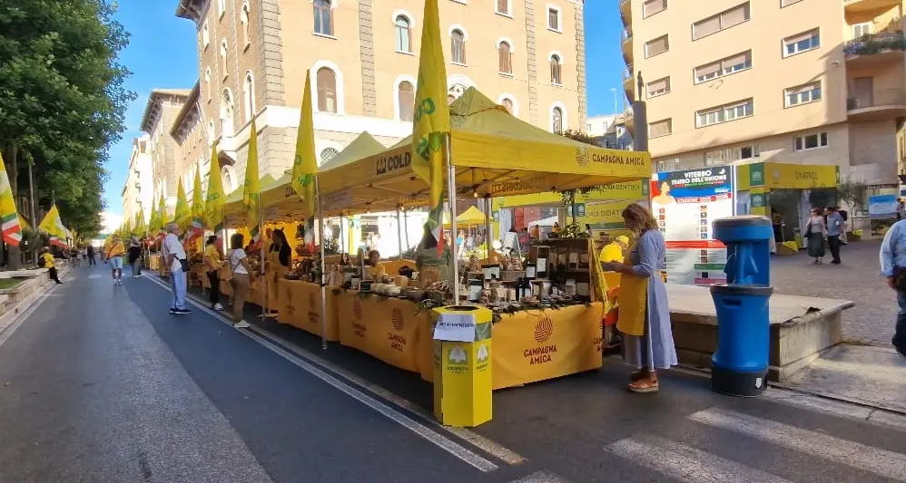Viterbo per 3 giorni capitale dell’agricoltura