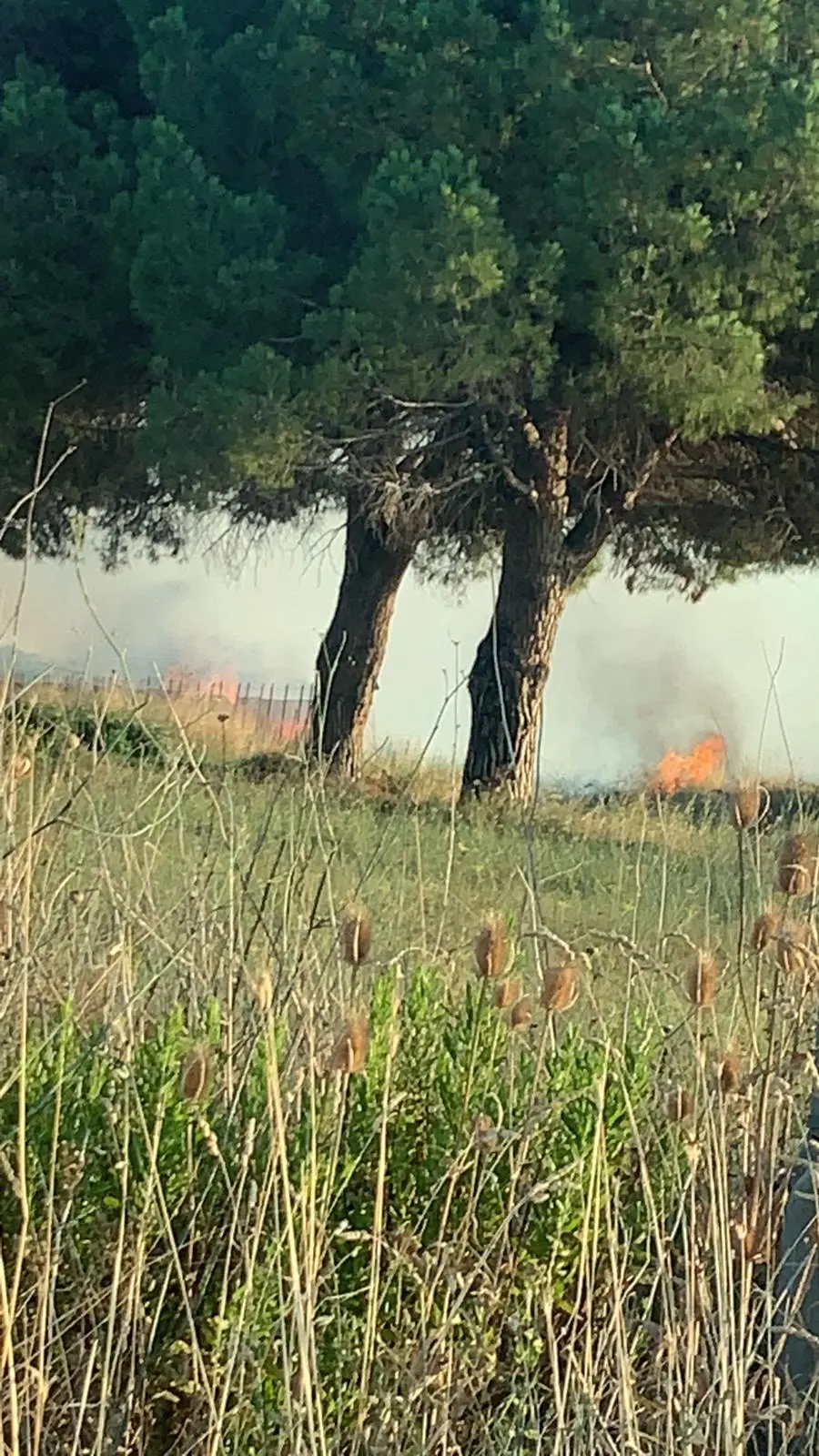 Incendi Sant’Agostino, Litoranea, Marina Velca