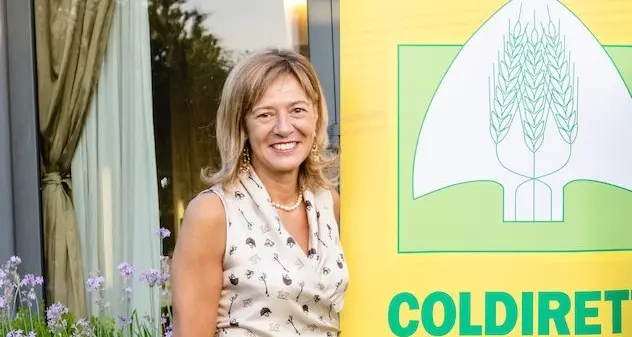 Pozzi geotermici, Coldiretti dice “no”