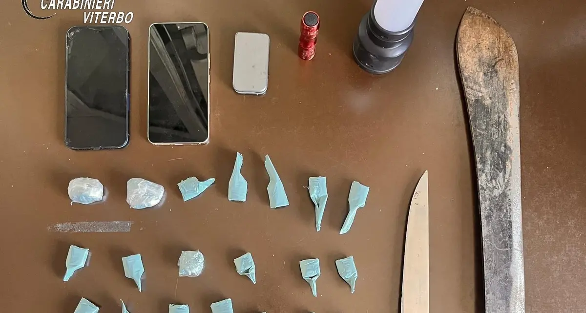 Spaccio nei boschi: i carabinieri recuperano la droga