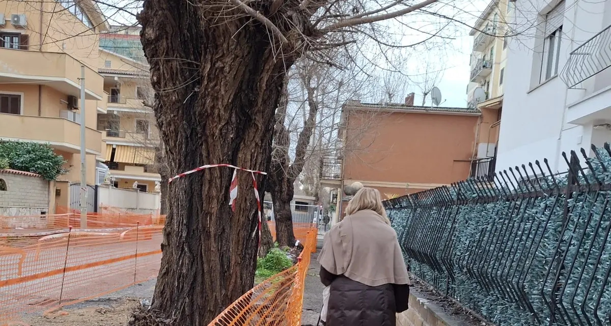 «Lavori lenti e pochi parcheggi in centro»
