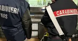 Canino: chiuso minimarket sporco e con lavoratori senza formazione