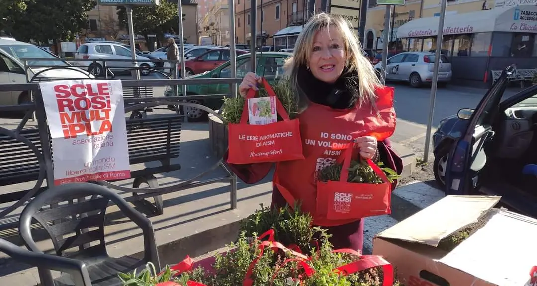 In piazza Aldo Moro tornano le “Erbe aromatiche” di Aism