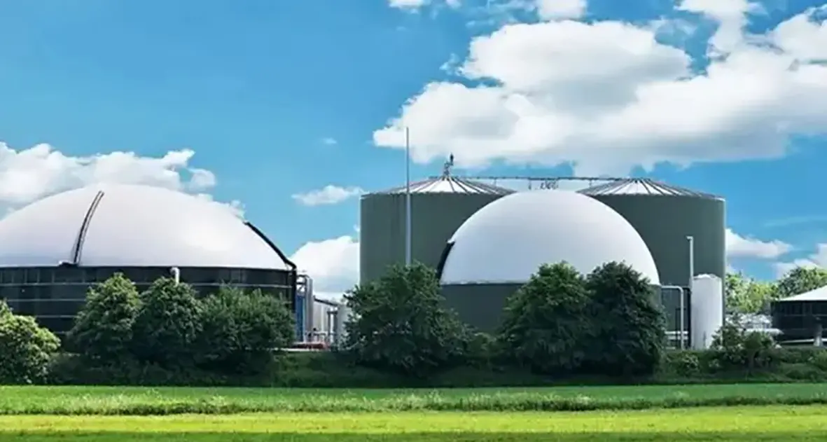 La coerenza biodigerita