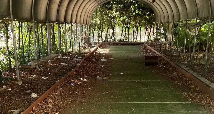 «I campi da bocce del Pilastro e La Quercia nel degrado più totale»