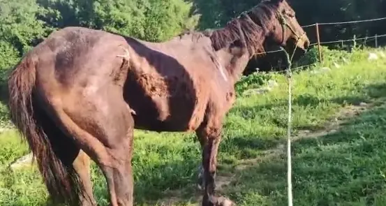 «Alba radiosa ha superato la nottata»