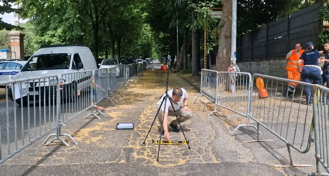 Viale Trieste, Floris: «Riapertura totale entro ottobre»