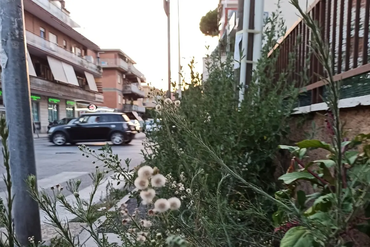 Ladispoli: strade e marciapiedi nel degrado