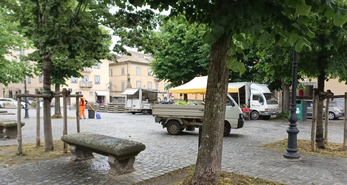 A Viterbo sfalcio dell’erba a orologeria