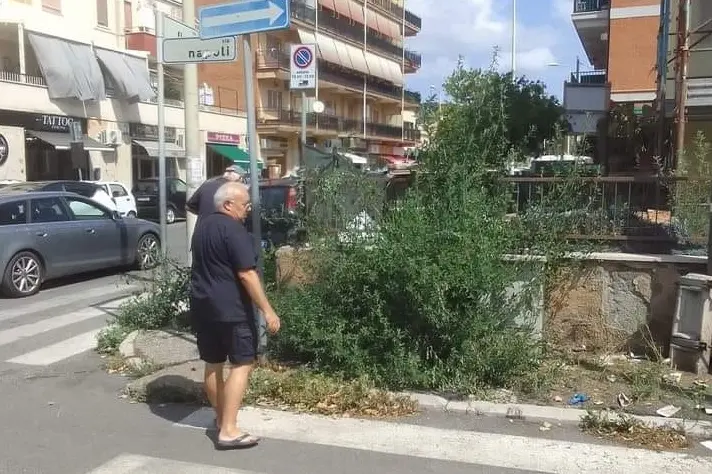 Il Comune annuncia la pulizia di strade e marciapiedi ma c'è chi adotta il fai-da-te