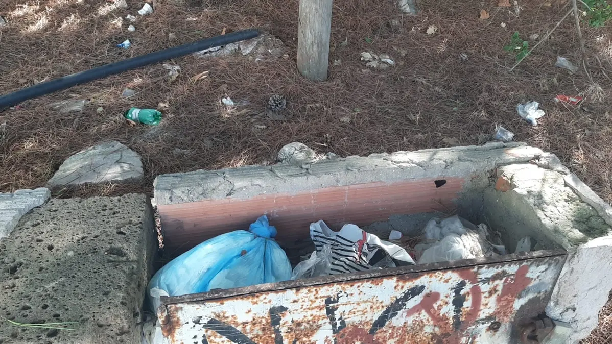 «Via dei Delfini nel degrado»