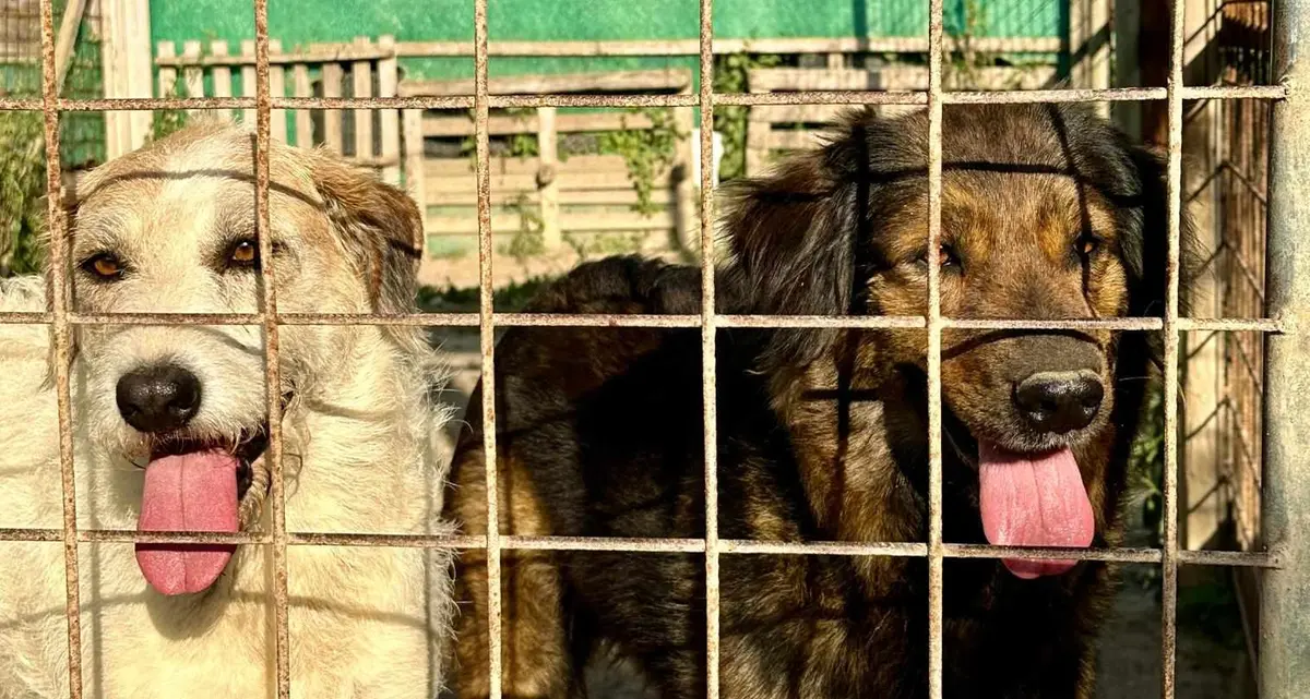 «Serve aiuto per ricostruire il rifugio»