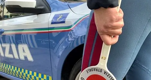 Viterbo: trasporta 200 chili di carne nelle gabbie degli animali vivi