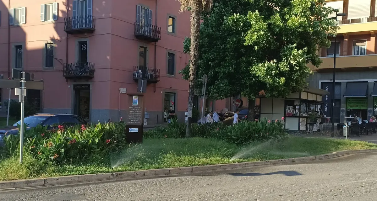 Viterbo: aiuola rigogliosa, svelato il mistero