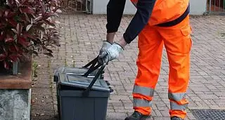 Raccolta differenziata, la Tuscia è la provincia più virtuosa del Lazio