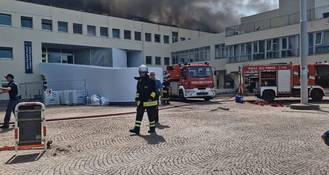 Rogo ad Agraria, le misure precauzionali disposte dal Comune di Viterbo