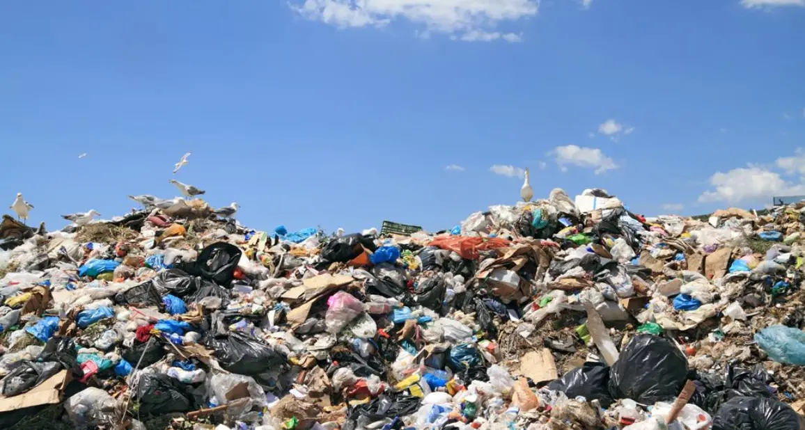 A Viterbo denunciati 200 reati ambientali