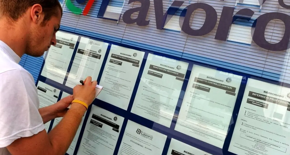 Occupazione giovanile in crescita nella Tuscia