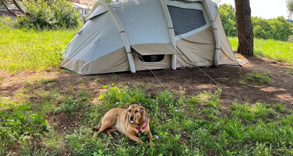 Botte, alcol e droga nella nuova casa di Elvira e Andrea