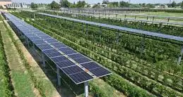 «Bene lo stop della Regione a 3 nuovi impianti di rinnovabili nella Tuscia»