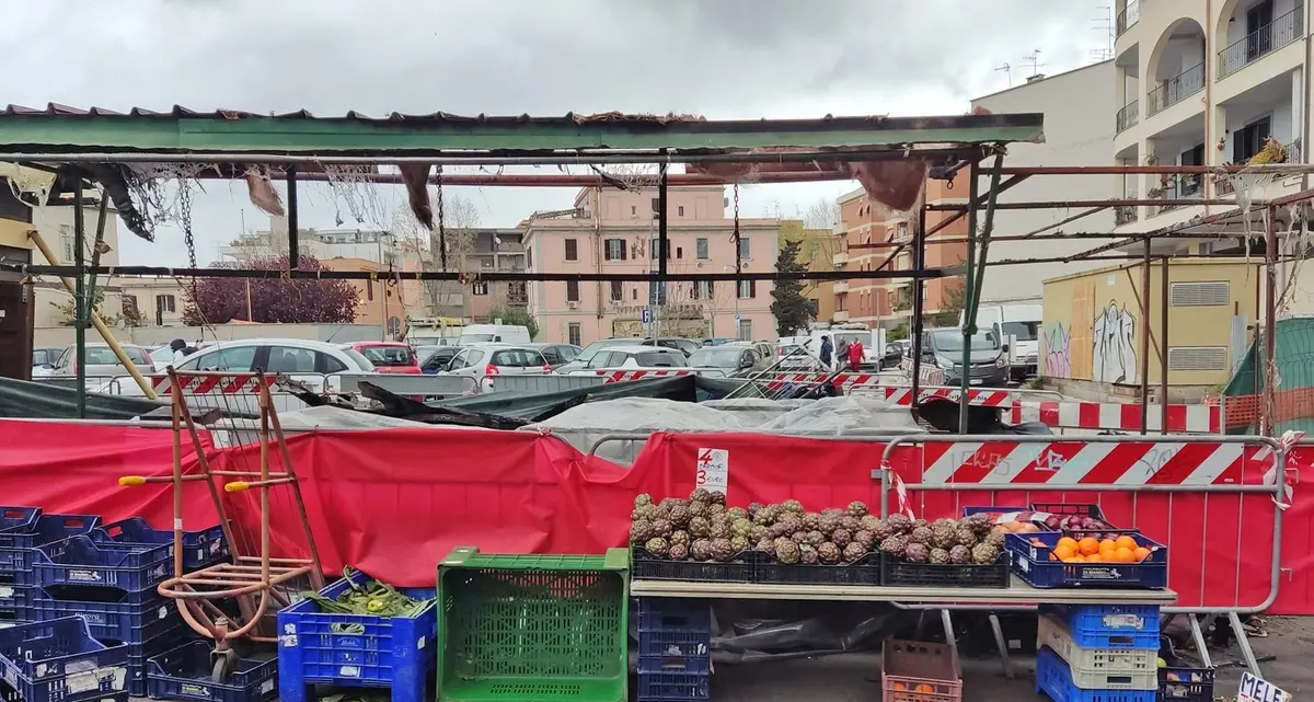 Sammarco: «Situazione invivibile»