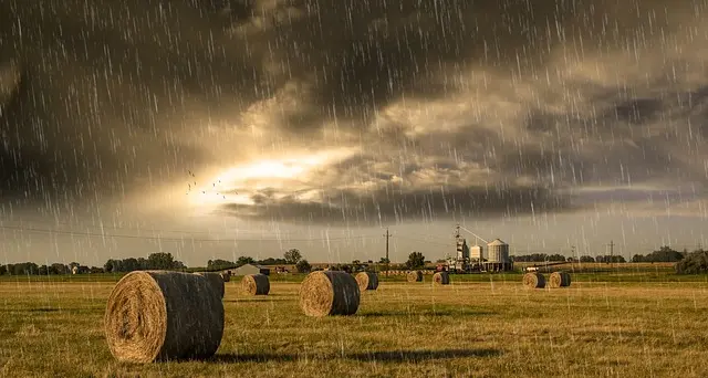 «Pioggia benedetta per i campi»