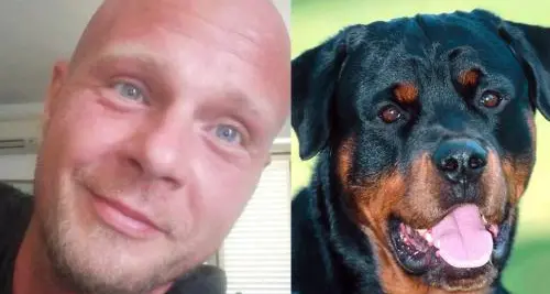 Sbranato dai cani, condannati i proprietari