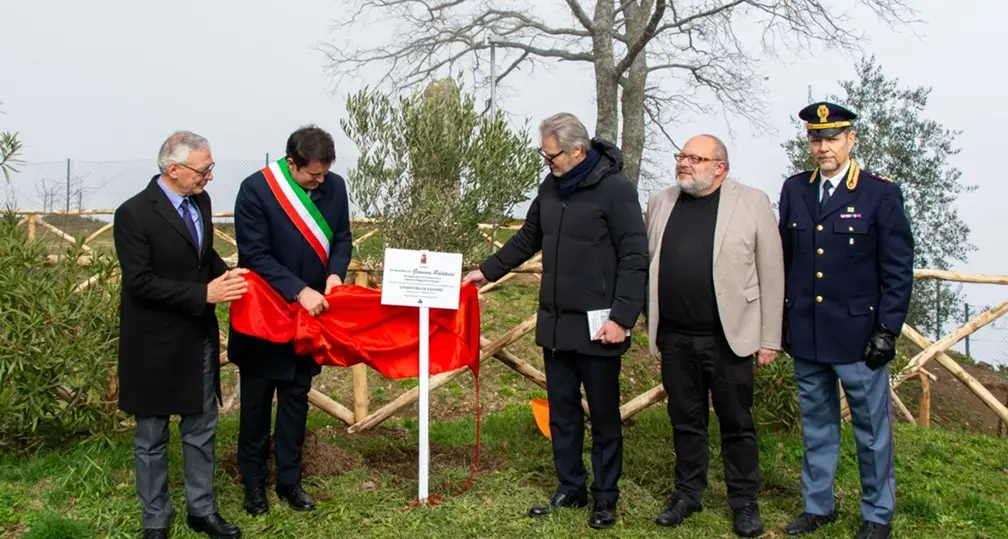Un albero d’ulivo per ricordare Giovanni Palatucci