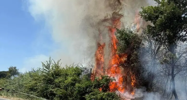 Oriolo Romano: incendio di sterpaglie minaccia tre abitazioni