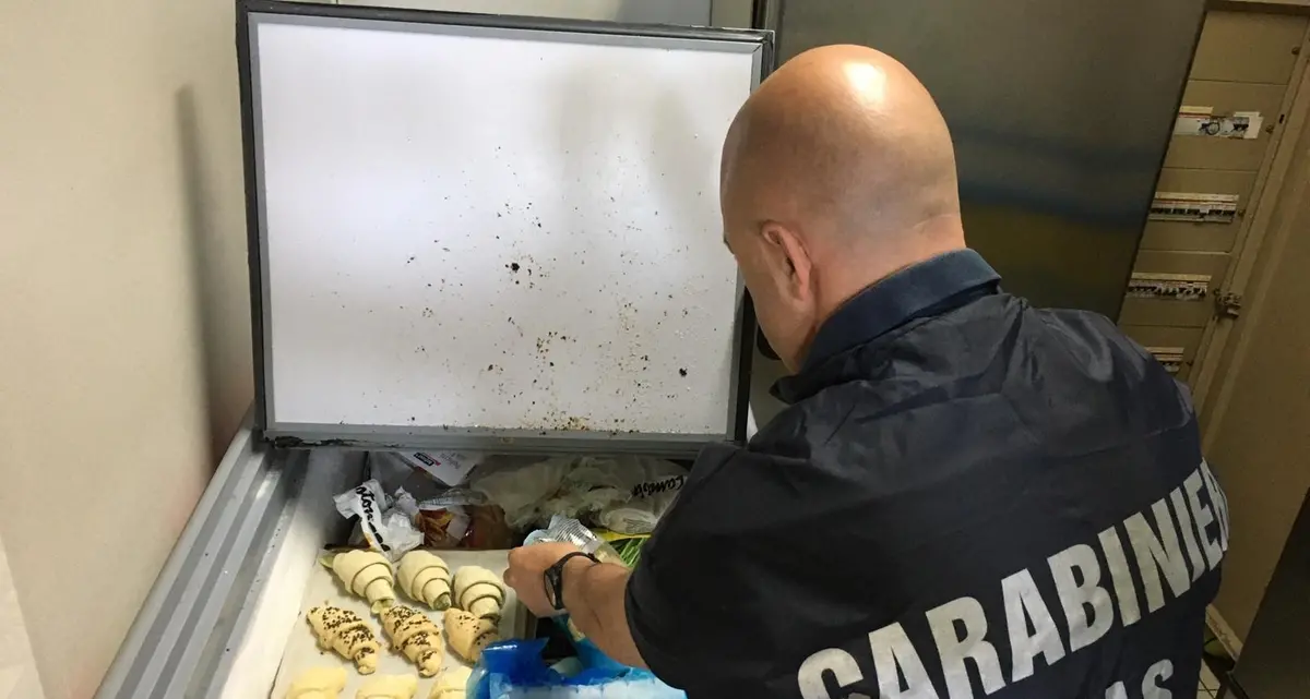 Carne e pesce conservati male e sporcizia, chiusi 3 ristoranti nella Tuscia