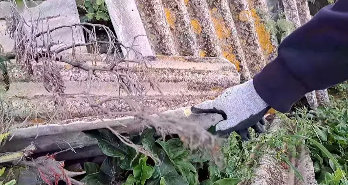 «Dodici metri quadrati di amianto abbandonato»