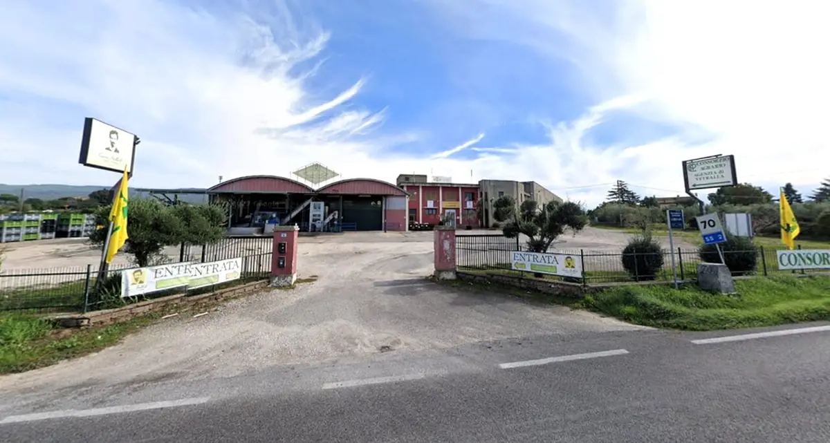 Vetralla: sventato un furto in un grosso frantoio