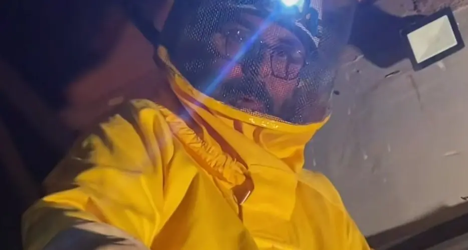 Nepi: etologo trova un alveare con 13 favi e 100mila api