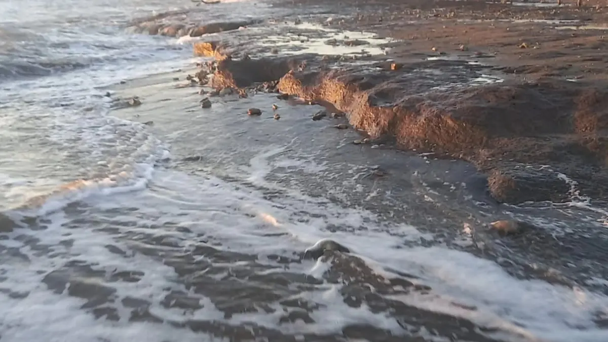 Il caso della Palude approda in Regione