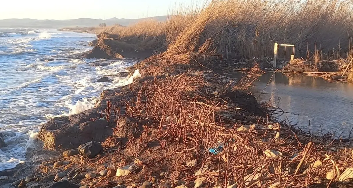 Il mare rompe gli argini ed entra in Palude. La sindaca: «La Regione intervenga»