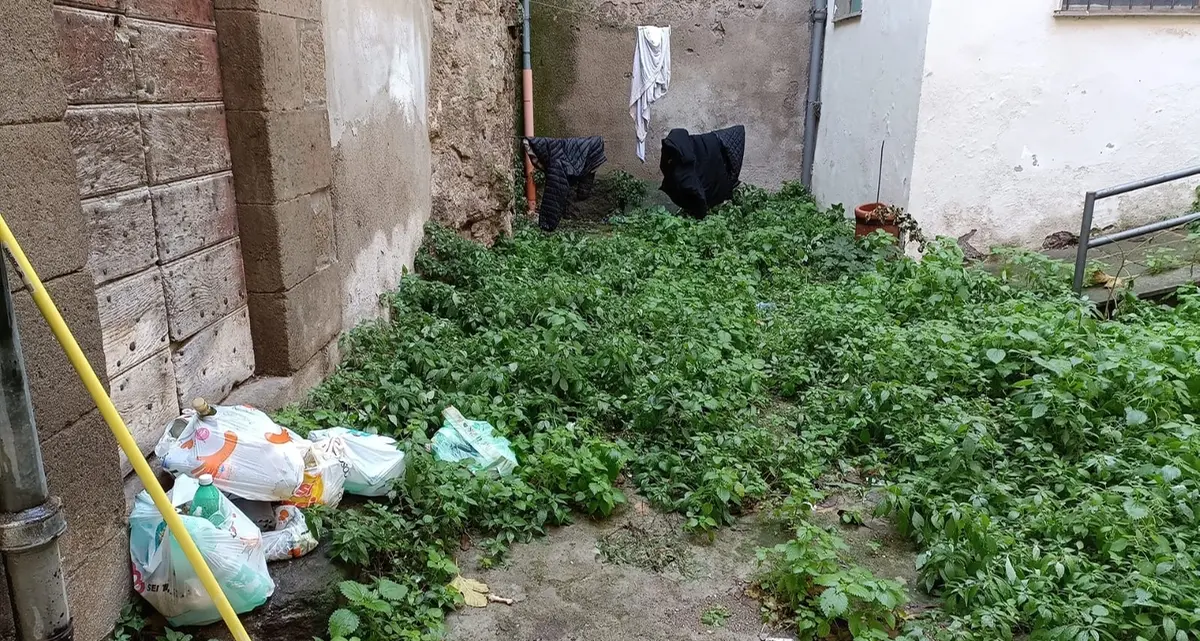 «Ostaggi di erba alta, rifiuti e topi»