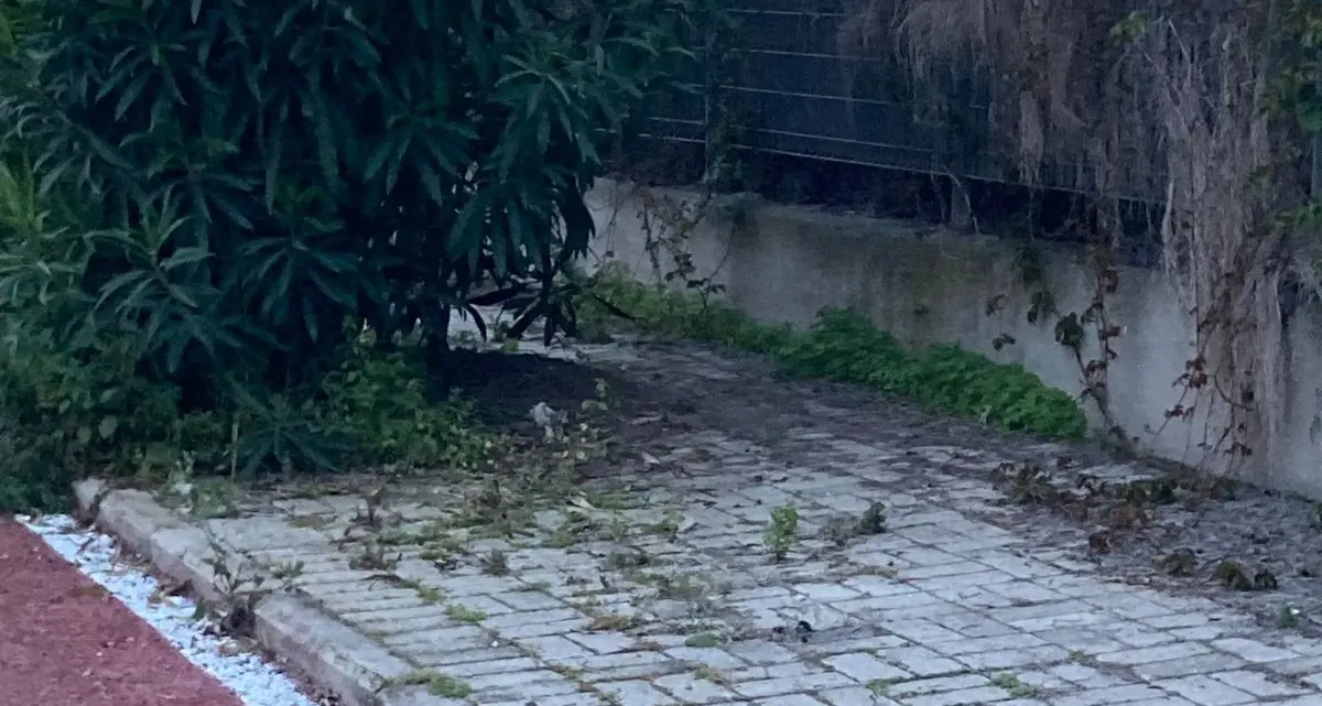 Marciapiedi invasi dall’erba alta e rifiuti abbandonati: è polemica