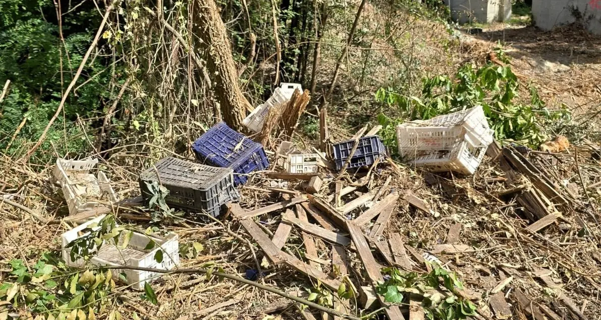 «Orte, una discarica abusiva da vergogna»