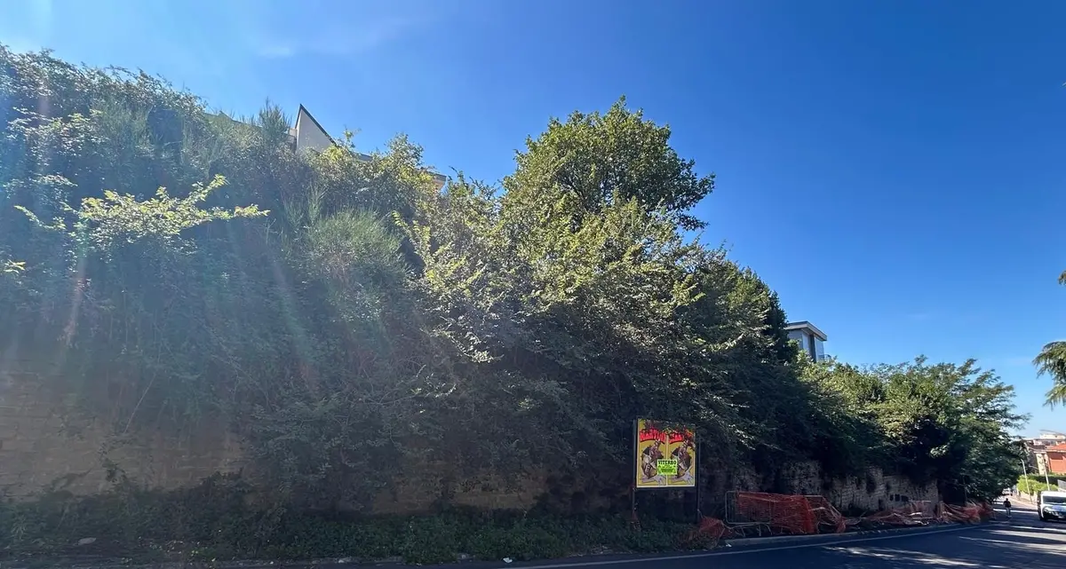 «Viterbo: marciapiede transennato per rischio crollo, è inaccettabile»