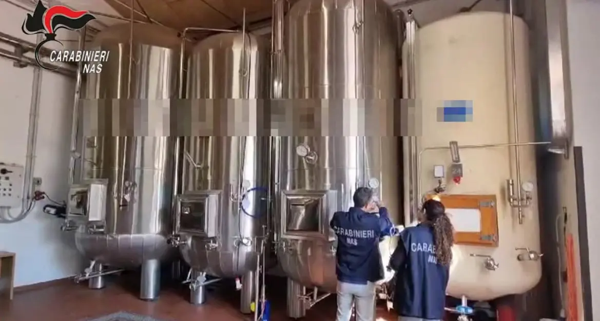 Viterbo: gravi carenze igienico sanitarie, chiusa azienda vitivinicola