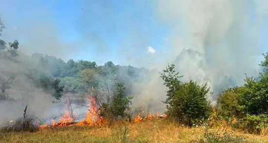 Vasanello: tre ettari di terreno in fumo, le fiamme minacciano le case