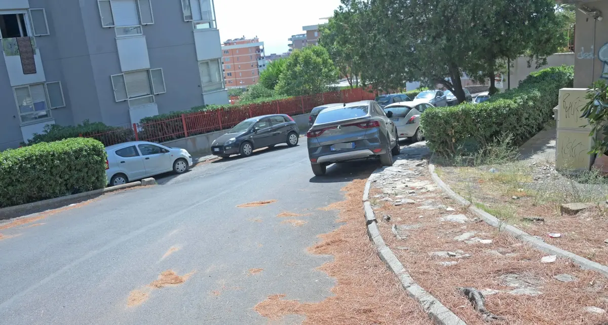 Agosto, degrado ti conosco