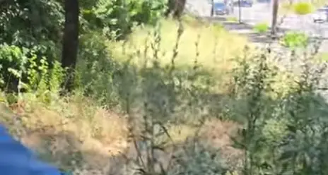 Manutenzione parchi, terminato l’accordo quadro semestrale