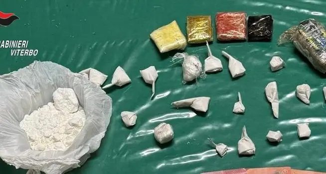 Sorpreso nei boschi con cocaina e hashish, arrestato un 24enne