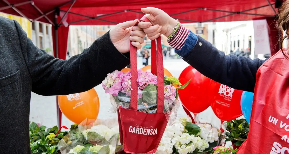«Fermiamo la sclerosi multipla con un fiore, anzi due»
