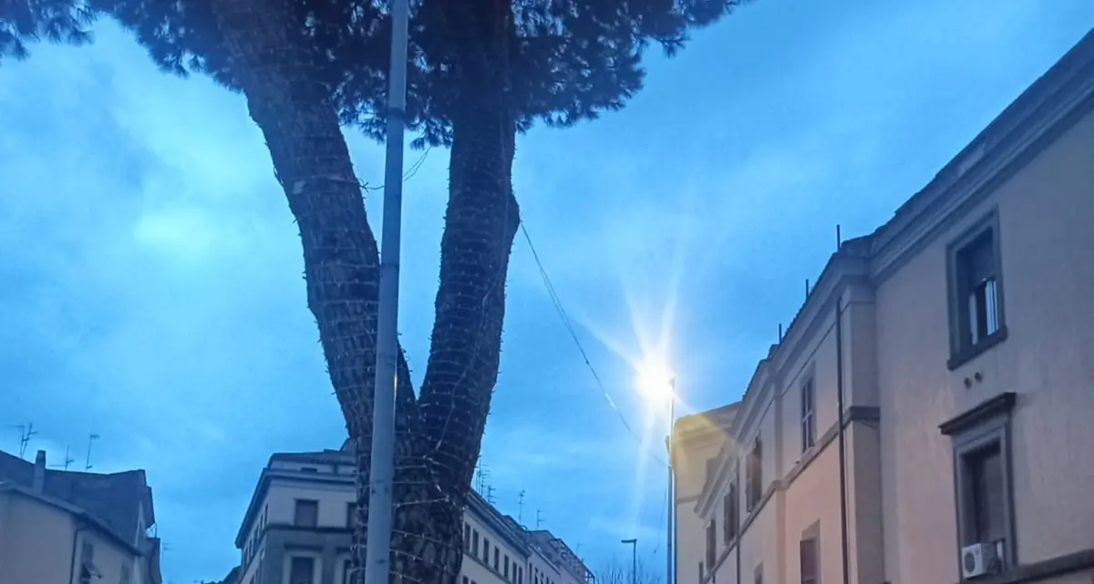 «Illuminazione in piazza Verdi, i tecnici stanno provvedendo al ripristino»
