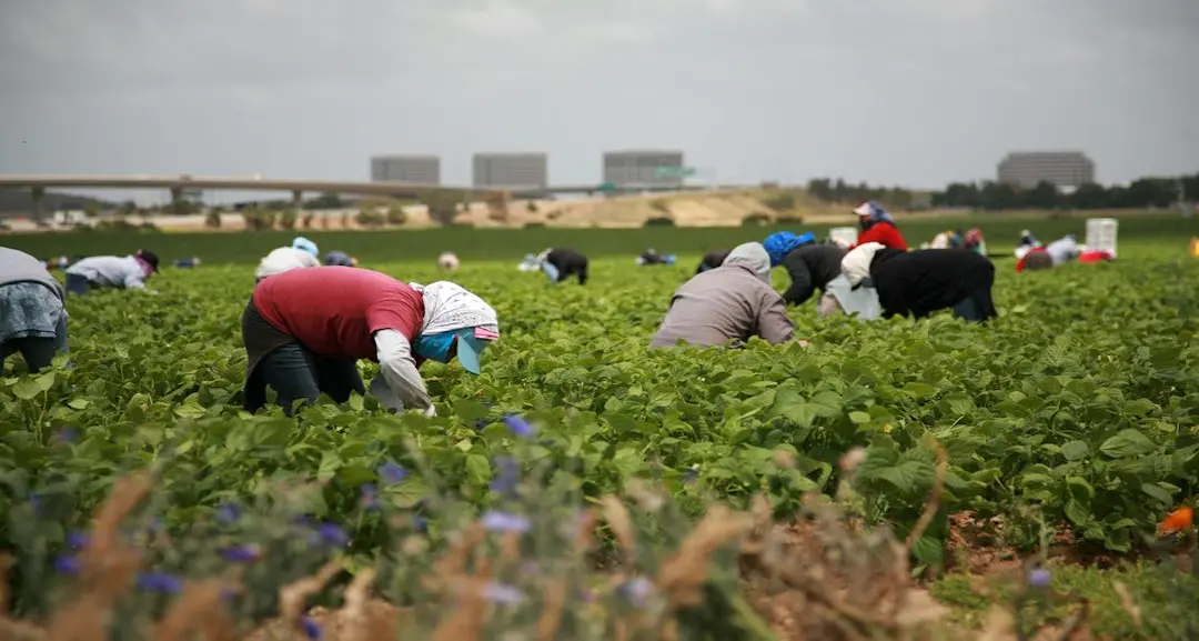 Ospiti della struttura d’accoglienza senza averne diritto
